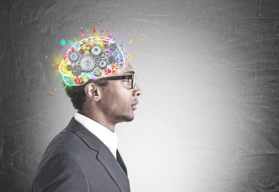 How Cognitive Control Shapes Our Daily Behaviour – A Look Into the Brain