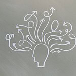 Kognitive Neurophysiologie in Dresden – Die Professur von Prof. Dr. Christian Beste