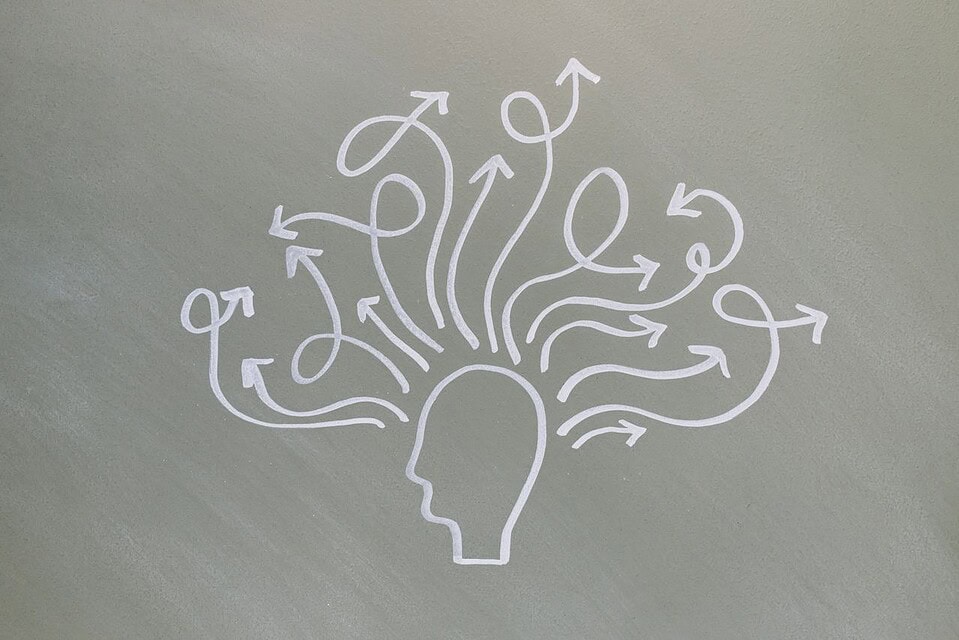 Kognitive Neurophysiologie in Dresden – Die Professur von Prof. Dr. Christian Beste
