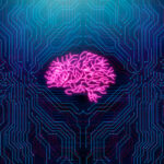 Artificial intelligence in neuroscience: opportunities and challenges 