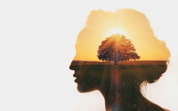 The Therapeutic Potential of AI in Mental Health: Innovations and Limitations